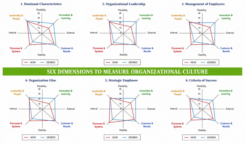 Culture assessment visualization